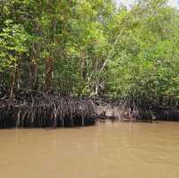 A wander to nature, Mangrove River at Kilim Geoforest Park
