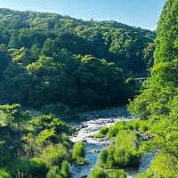 檜木內川河川綠地：自然與完美融合 🌳💧