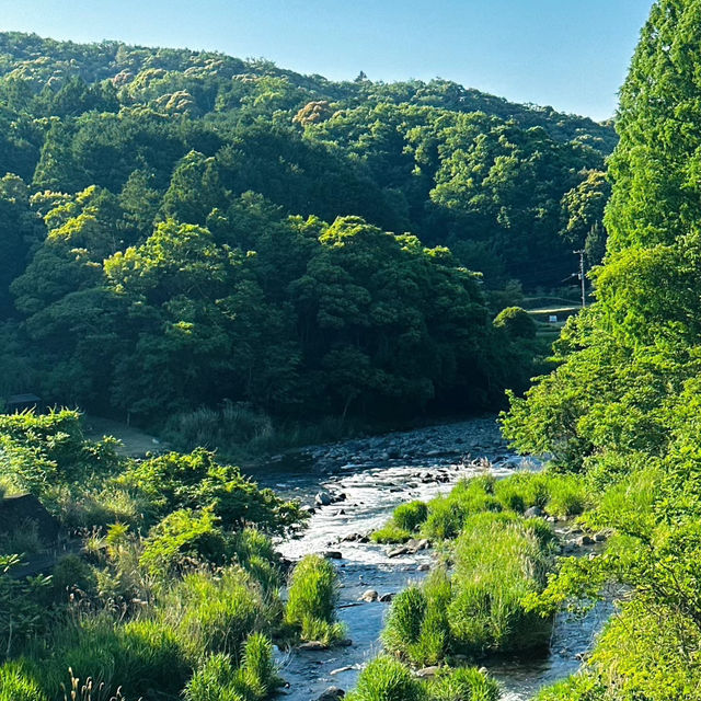 檜木內川河川綠地：自然與完美融合 🌳💧