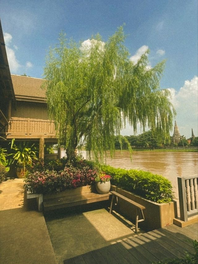 ร้าน ศยามะ อยุธยา