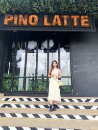 Pino late โซนใหม่