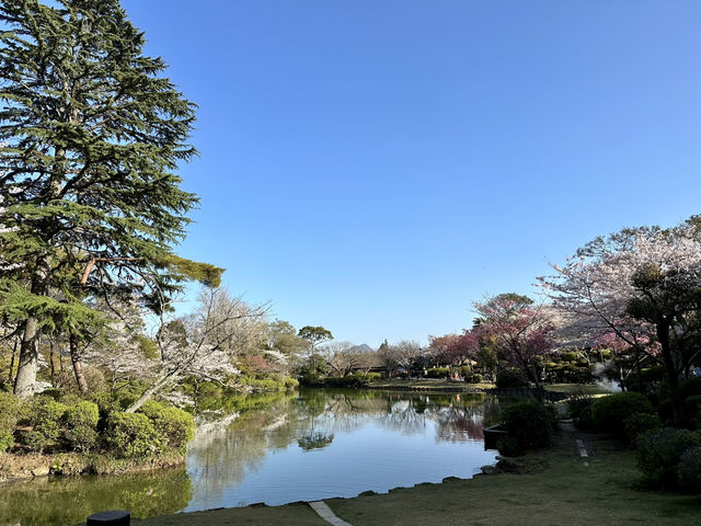 🇯🇵 九州別府 來這裡就夠了！♨️
