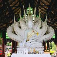 ม่อนพญานาคราช