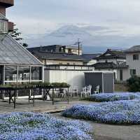 A Lucky Encounter with Mount Fuji at Lake Kawaguchi