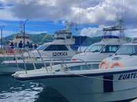 PALAU 🇵🇼 My Second Home
