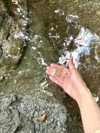 【埼玉県】銅が最初に発見された場所は金運パワー大！