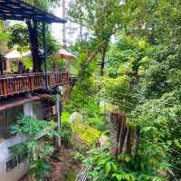 กิจกรรมสุดอลังการ เดอะจังเกิ้ล โป่งแยง (The Jungle
