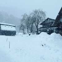 Dreamy snow village in Japan - Shirakawago 