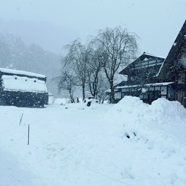 Dreamy snow village in Japan - Shirakawago 
