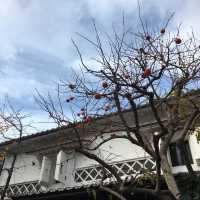【長野市】善光寺ちかくにあるまるで江戸の下町！？観光名所🏯
