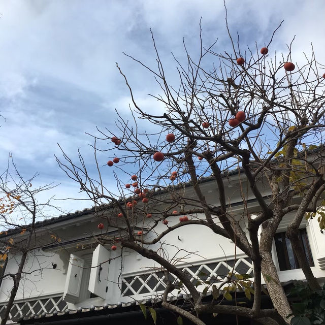 【長野市】善光寺ちかくにあるまるで江戸の下町！？観光名所🏯