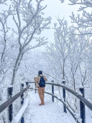 A Must-Visit Winter Destination: Deogyusan in Muju