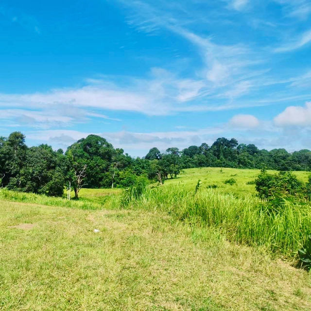 เขาใหญ่ ที่เที่ยวธรรมชาติใกล้กรุง 🌿⛰️