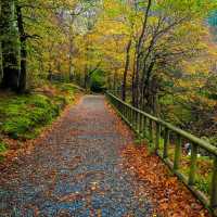 Ireland: A Captivating 7-Day Escape