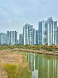 도심 속에서 여유와 힐링을 느끼고 싶을 때 청라호수공원🌳