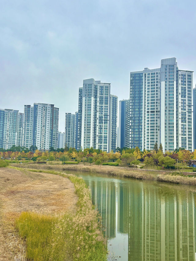 도심 속에서 여유와 힐링을 느끼고 싶을 때 청라호수공원🌳