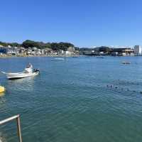 海鮮ひこのや