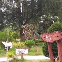 Thai Buffalo Village สุพรรณบุรี