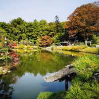 Autumn Magic: A Colorful Escape at Okayama Korakuen Garden!