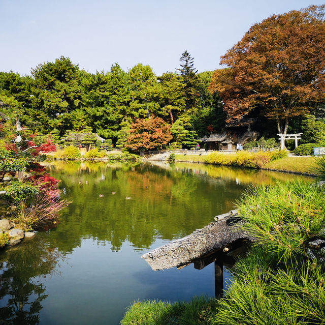 Autumn Magic: A Colorful Escape at Okayama Korakuen Garden!