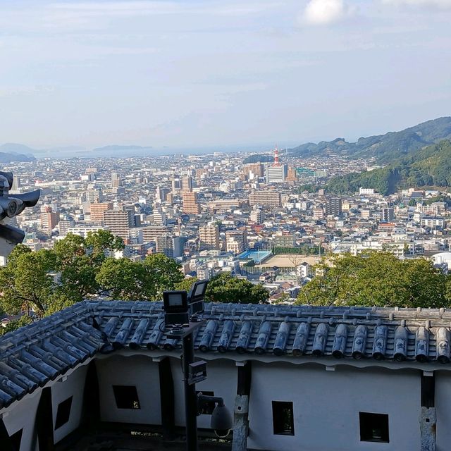 四國愛媛松山城