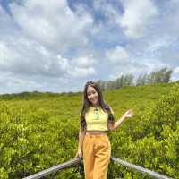 ท่องเที่ยวเชิงอนุรักษ์ที่ทุ่งโปรงทองปากน้ำประแส