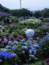 名古屋一日遊：花海＋溫泉