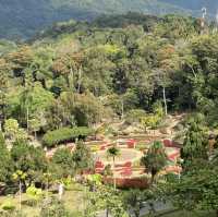 ดอยตุง สวนแม่ฟ้าหลวง พระตำหนักดอยตุง @เชียงราย
