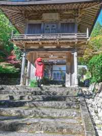 【兵庫】秋の映え写真、マストスポット🎨 🍁