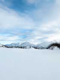 ชมแสงเหนือที่ Alaska