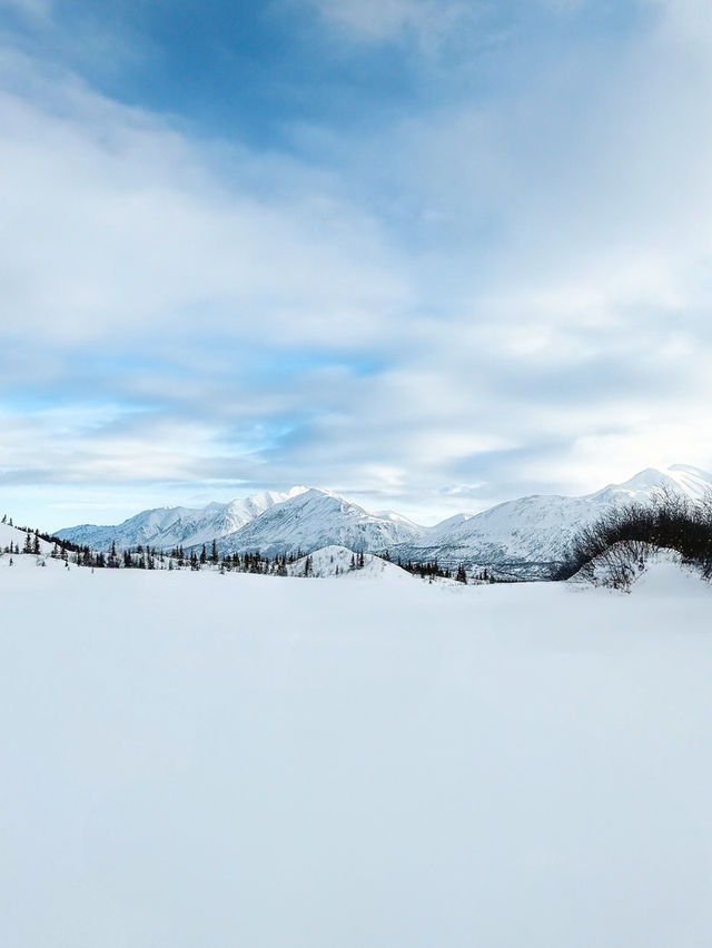 ชมแสงเหนือที่ Alaska