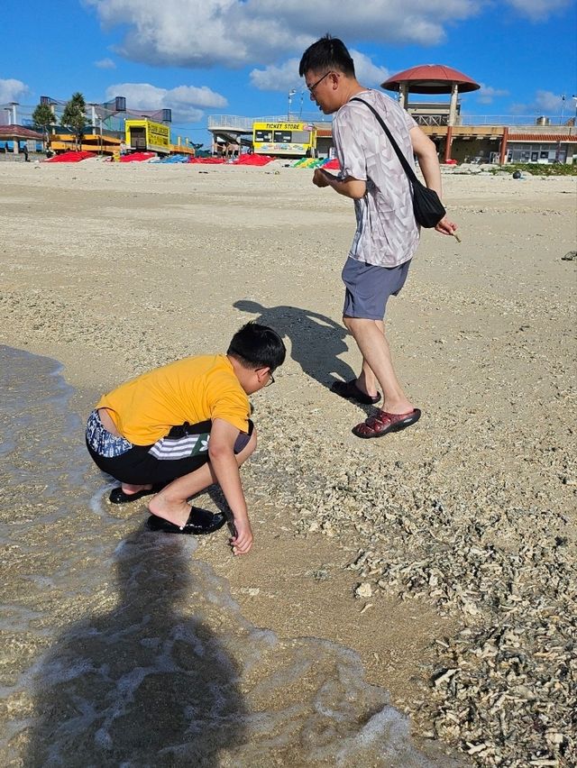 豊崎海浜公園