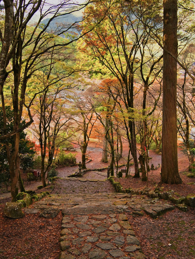 【ここ行って】本当は教えたくない🙅丹波地方最古の寺院で見る紅葉✨ 【ここ行って】本当は教えたくない🙅丹波地方最古の寺院で見る紅葉✨