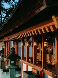 ⛩️SHRINE-ing in Kyoto | Fushimi Inari Taisha 🇯🇵 