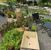 Cozy Cafe Camp คาเฟ่ลับ ลพบุรี 