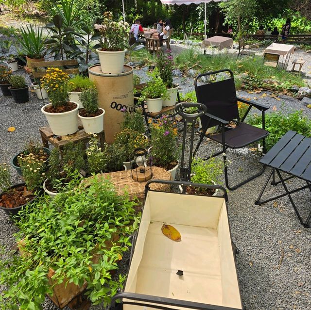 Cozy Cafe Camp คาเฟ่ลับ ลพบุรี 