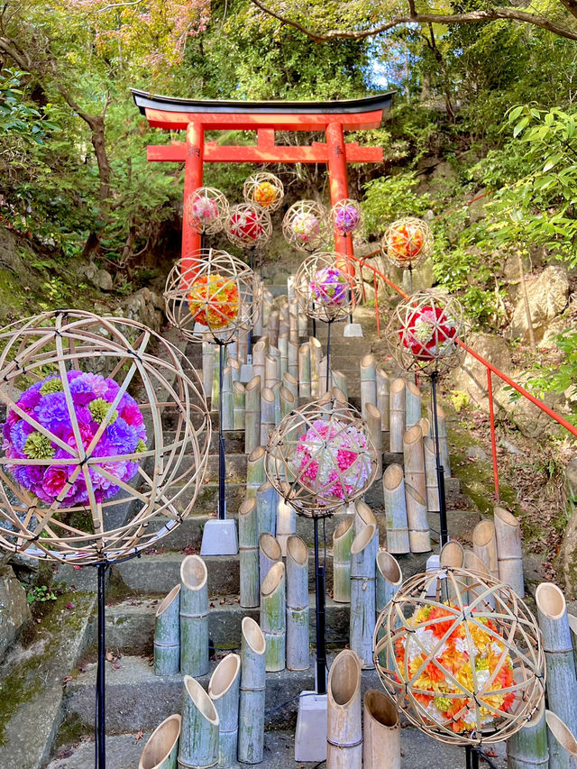 京都 ❤︎ 紅葉のリフレクションが素敵🍁✨秋のおすすめスポット❤︎
