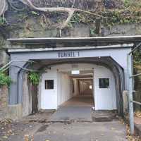 การเปิดอีกครั้งของอุโมงค์ Tunnel 1