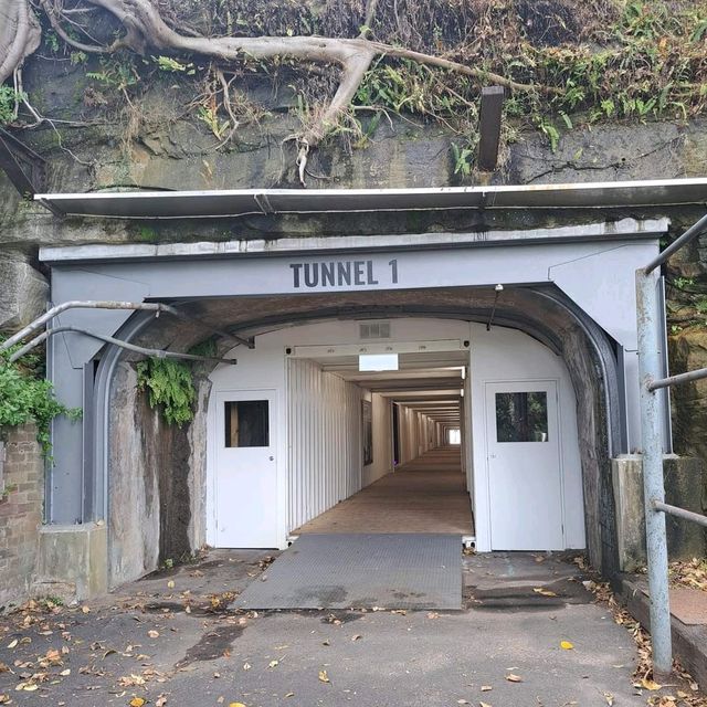 การเปิดอีกครั้งของอุโมงค์ Tunnel 1