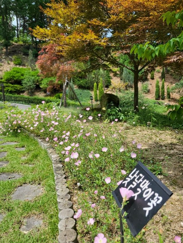 산책하기 좋았던 원주 가족여행지 추천