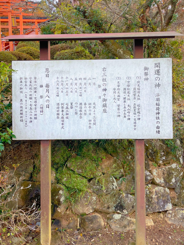 92基の鳥居が圧巻🥰⛩️福岡の浮羽稲荷神社⛩️