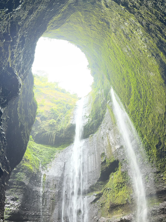 Chasing Waterfalls: My Unforgettable Adventure at Madakaripura