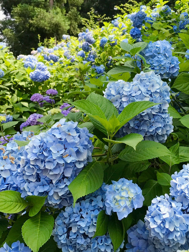 【栃木　黒羽城址公園】