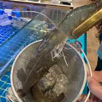 任夾活蝦泰式火鍋🍲🩷