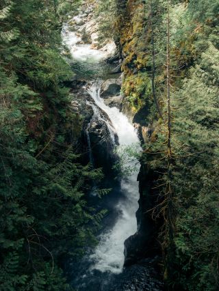 Lynn Canyon Park in Vancouver
