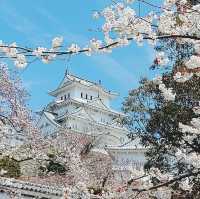 世界文化遺產系列～姬路城