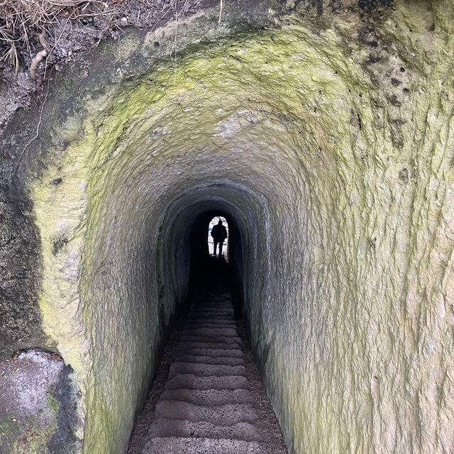 Tunnel Beach: A Secluded Gem with Breathtaking Ocean Views