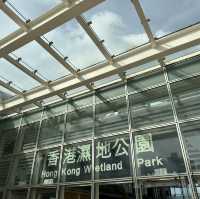 🌿 香港濕地公園：與自然共舞的美好時光 🌿