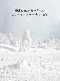 【秋田】日本三大樹氷『森吉山阿仁スキー場』