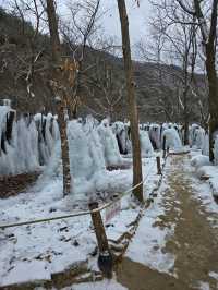 대전에서 빙벽을 볼 수 있는 곳💙